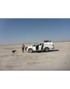 Mietwagen México